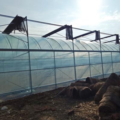 Multi-Span Greenhouse Kits Plastic Film Hydroponics Greenhouse For Sale