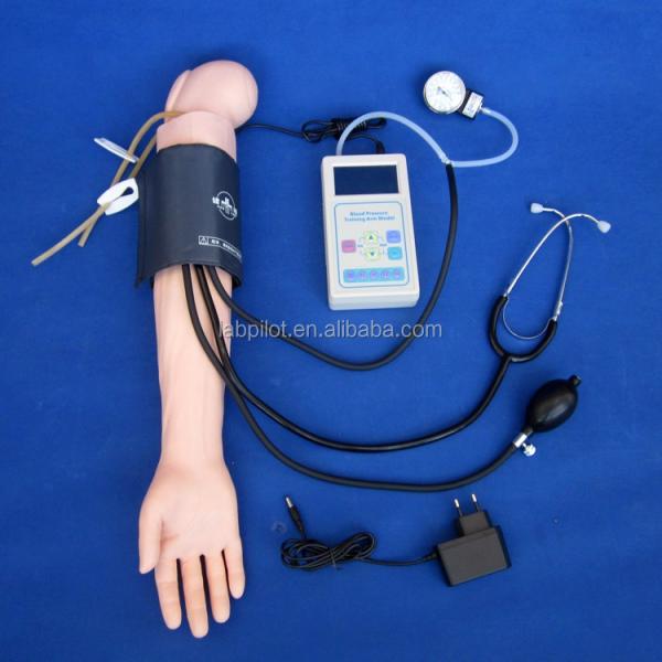 Advanced Blood Pressure Training Arm Simulator Model for Clinical Nursing Practice