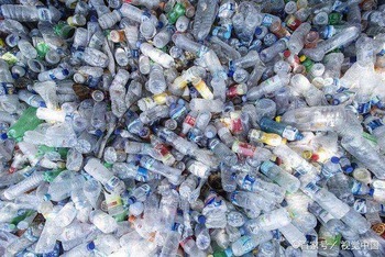 Крошечные куриные животные домашние животные Кремационная печь Крематор для продуктового магазина с использованием нефтяного топлива