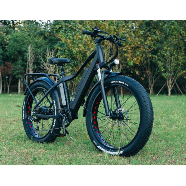 52V 1000W Bafang Motor 17AH Lithium 55KM/H Rear Hub Snow Fat Tire Mountain Electric Bike