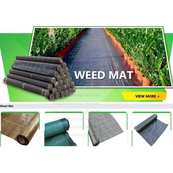 Двор консервации мостовой управлением weeb водопользования украшает vegetati предохранения от seedbed прессформы анти- насекомого анти-