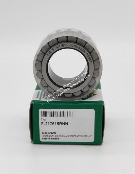 INA double -row full complement cylindrical roller bearing F-217615.RNN