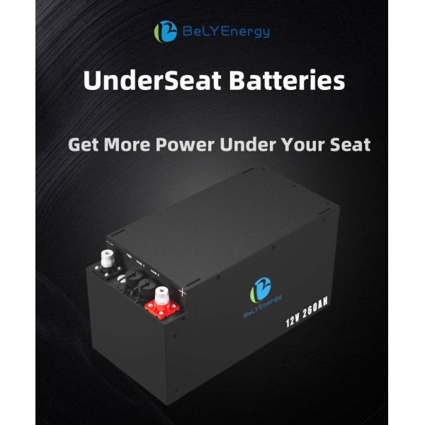 H8 DIN Case 12V260Ah Lithium Iron Phosphate Battery Underseat Engineered For RV Motorhome Camper