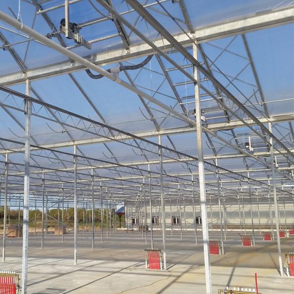 Los paneles multi de la PC del palmo 8m m del policarbonato del invernadero industrial de la hoja para la flor