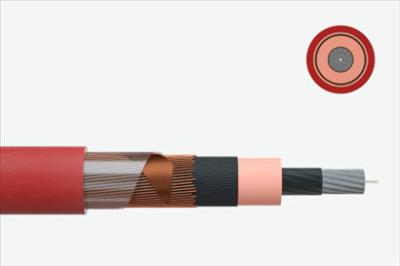 Feichun PROTOLON(H) GHXSGHXOE: Halogen-Free Track Feeder Cable for Enhanced Safety in Railway Applications