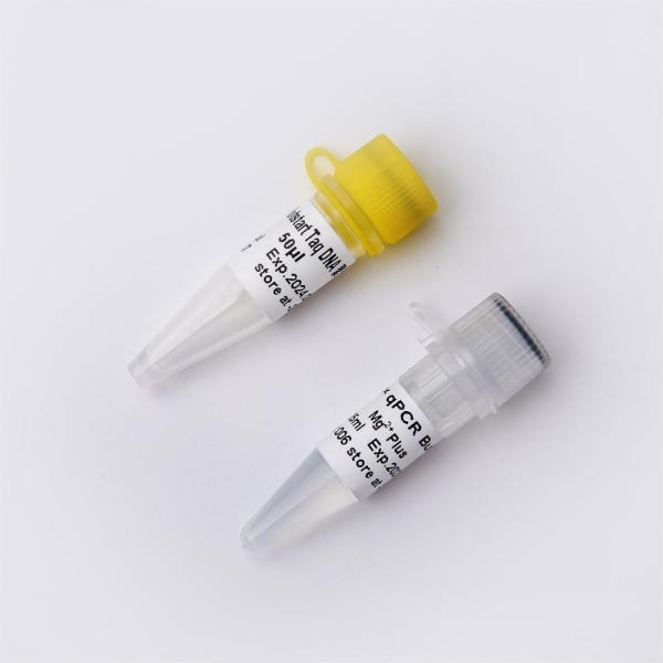 Fast Restriction Endonuclease EcoRI