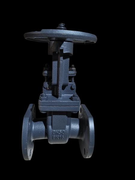 GOST Gate Valve WCB DN50 PN16 for Oil Gas Systems