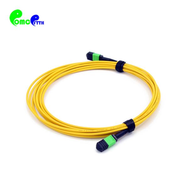 High quality MPO - MPO trunk cable with SM OM3 OM4 OM5 of 12F , 24F , 48F , 72F , 96F , 144F cable with OEM service