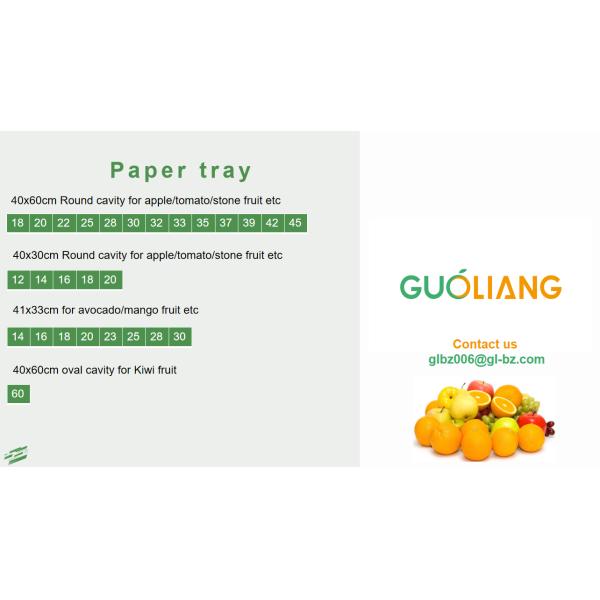 Wholesales Customized Disposable Apple Fruit Kraft Paper Packing Protective Inserts Tray Alveoli