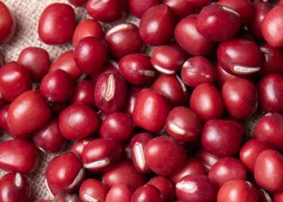 Rich Protein Natural Agricultural Products New Crop Common Small Red Beans
