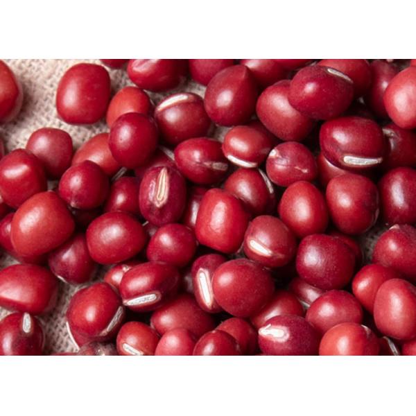 Food Grade Organic Mung Bean Powder / Adzuki Bean / Red Bean 200-300 Mesh