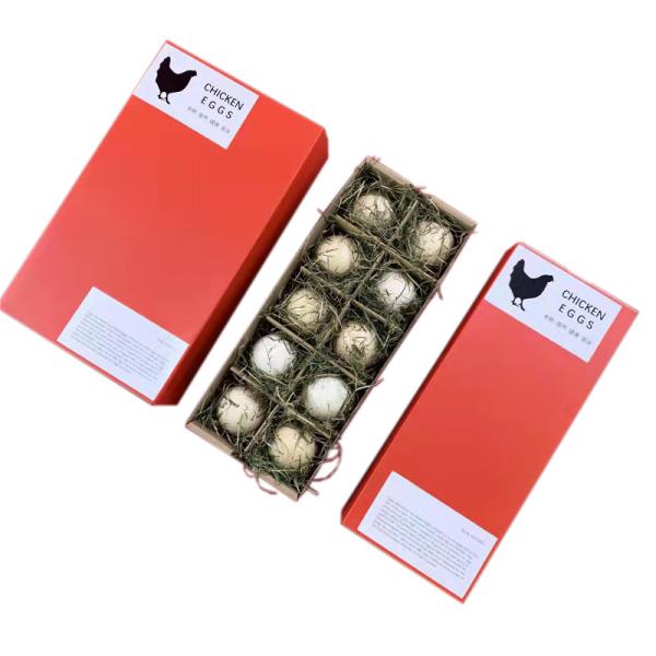 Rectangle Corrugated Cardboard Emptyegg Gift Box Yoni Easter Packaging