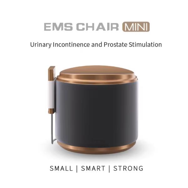 Weight Loss Body Muscle Stimulator Pelvic Floor Muscle Trainer