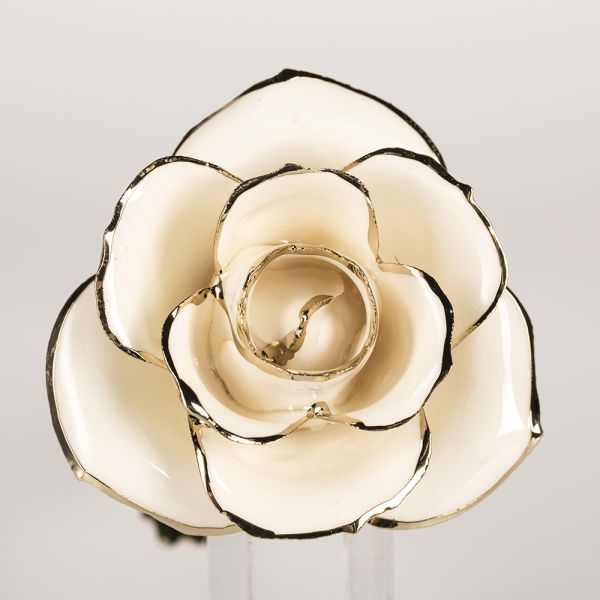 24k Gold Rose Fresh Preserved Flower  Everlasting Rose Wholesale  Handmade Preserved Rose Preserved Flowers Supply