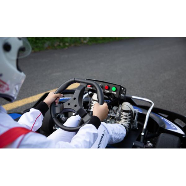 электрическая педаль 4kw идет экспресс прохождение аэропортовых формальностей крытое Karting Макс 80Km/H ременной передачи Kart