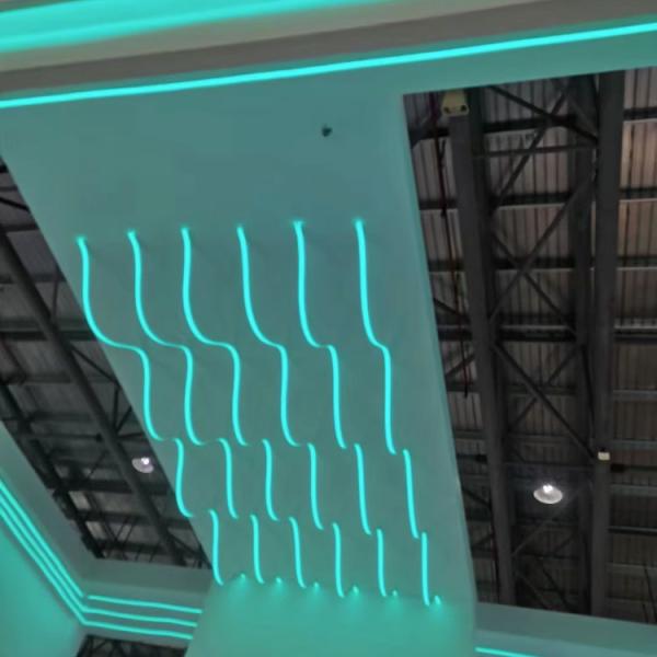 80LM/W Гибкая Силиконовая светодиодная лента 8x16 мм 24В Силиконовая светодиодная неоновая веревка