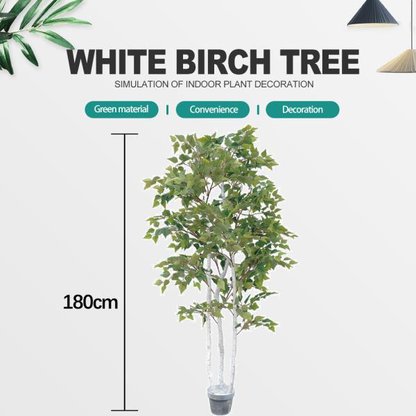 Ornamental Plant Artificial Radermachera Sinica Natural Greening For Home Decoration