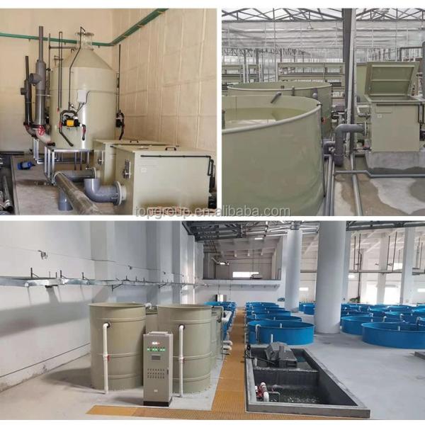 Protein Skimmer for RAS Fish Farming 600mm Barrel Diameter Micro Nano Foam Fractionato