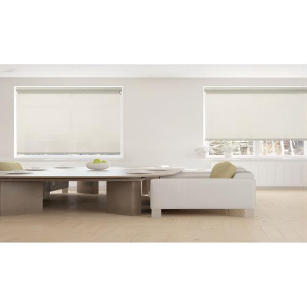 Low Nosie Electric Curtains Motor 12W 24V Gear Type Electric Window Motor Go-Gold