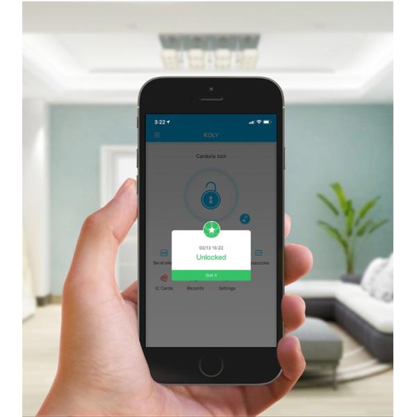 Remote Control Bluetooth Fingerprint Door Lock For Apartment Zinc Alloy Material