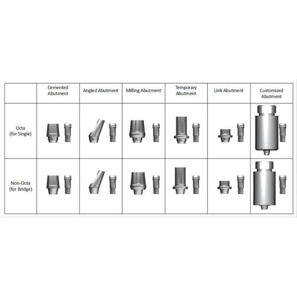 Dental Mini Implant Narrow Connection for Teeth Restoration Customized by 2D/3D/Drawing