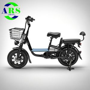 Yilan 1000W Motor Electric Folding Bike 48V25AH Removable Lithium Battery 16 Inch Fast Speed MTB Electric Bicycle
