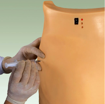 Medical Model for Puncture Training Demonstration Electronic Muscle Injection Teaching
