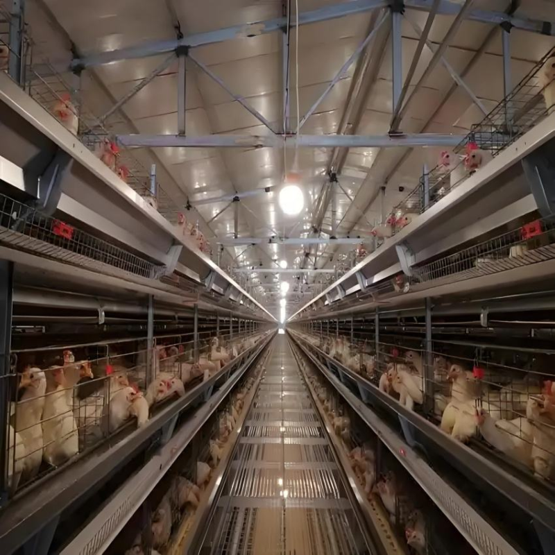 Galvanized 3-4 Tiers A Type Battery Egg Chicken Layer Cage with Automatic Feeding System