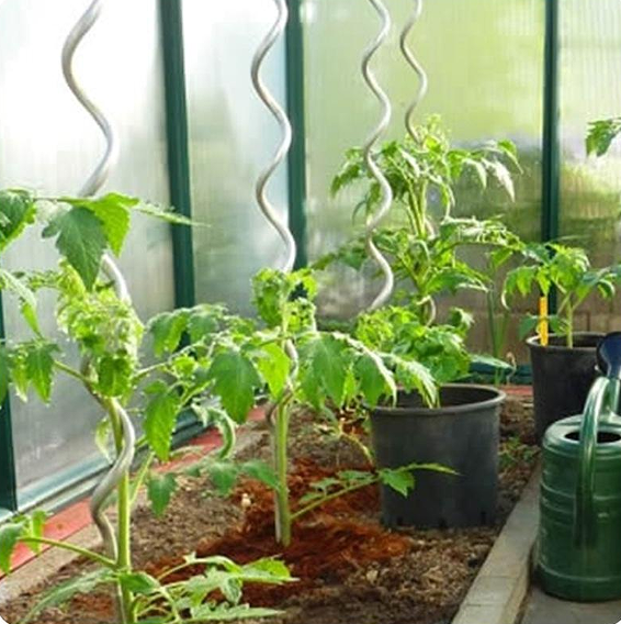 8.0mm*2.0m Plant Support Wire Greenhouse Iron Spiral