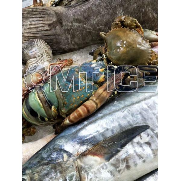 Máquina de hielo de agua salada de 5 toneladas, refrigeración automática por agua para barcos pesqueros