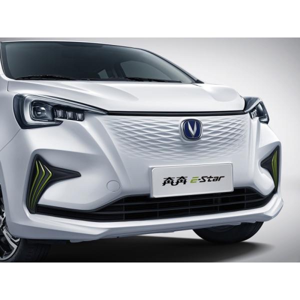 Pure Electric Mini EV Cars Max Speed 101 Km/H Long Range 310KM