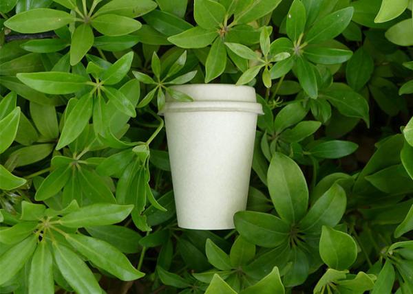 Sugarcane Hot Beverage Disposable Cups , Eco Disposable Cups Custom Printed