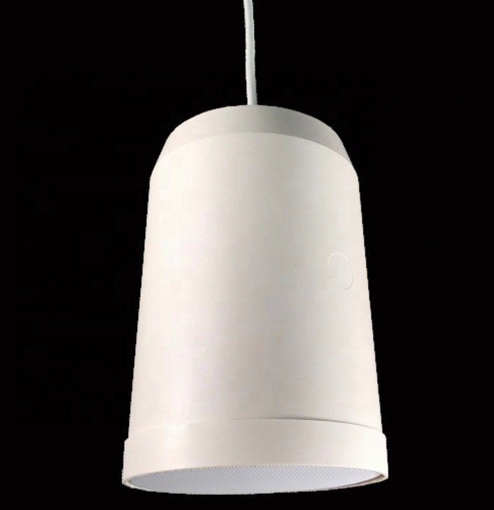 IP55 Full Range Hanging Speaker 5 Inch Commercial Pendant Speakers 2m Line