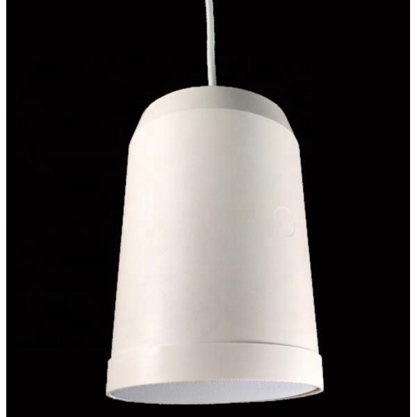 10w/5w 5-inch Hanging Speaker IP55 Waterproof Full Range Speaker with 2-meter Mounting Line