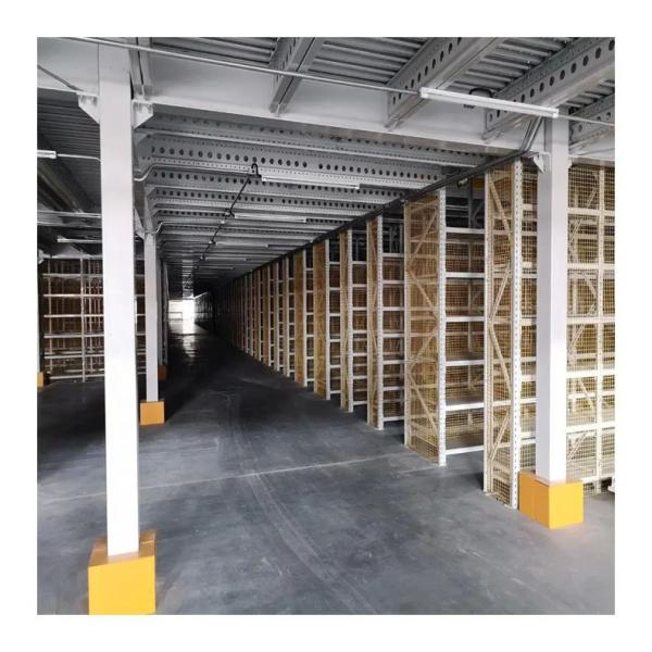Almacenamiento en frío Almacenamiento de paletas Estante de almacenamiento de acero ISO9001 con elevador de carga