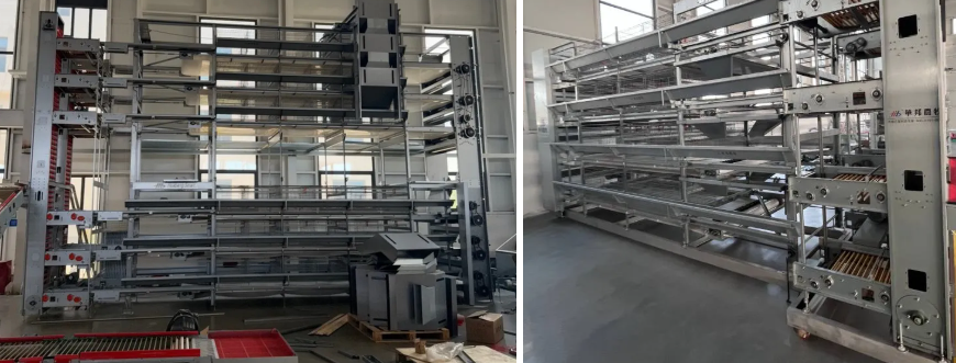 Quick Assembly Hot-dip Galvanized Steel Poultry Breeding Cage with 8 Hens per Cell Capacity