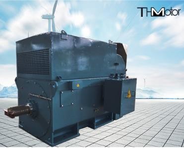 Минута IP54 электрических двигателей 1500r/клетки белки Y800 6000kw большая высоковольтная