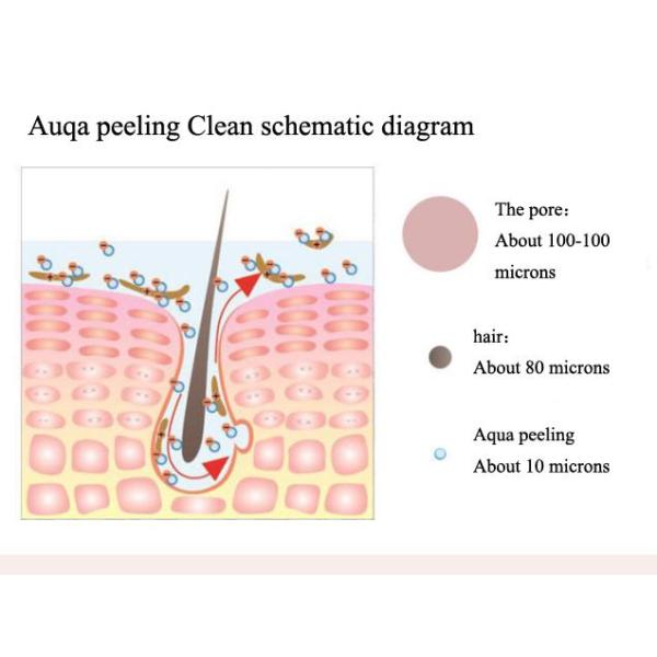 Mini Skin Deep Cleaning Hydro Dermabrasion Machine  50 - 100mm Spray Gun Salon Use