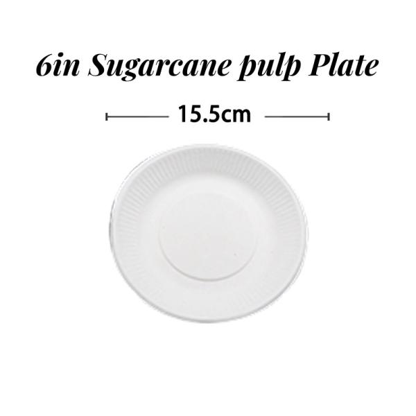 US Biodegradable Sugarcane Bagasse Tableware Plate Carry-out Tableware Multi Color