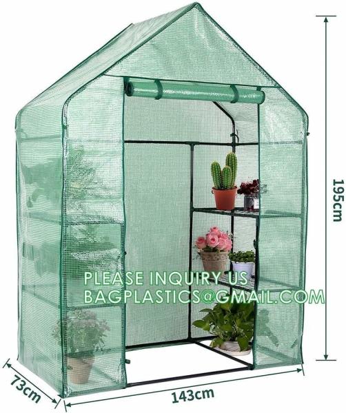 Winter Mini Home Flower Plant Outdoor Sloping Top Waterproof Backyard Walking Plastic Garden Greenhouse Walk In