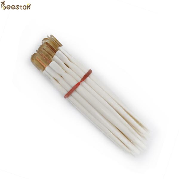 Wholesale Beekeeping Tools Plastic Royal Jelly Pen Apicultural Tools For Beekeeping
