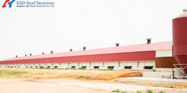 Q345 Q235 Steel Poultry House with Automatic Feeding and Drinking Systems