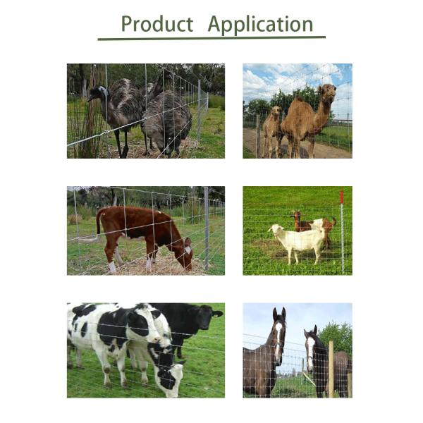 Столб 7 зажимов исправил узел ограждая горячую окунутую загородку суставного сочленения