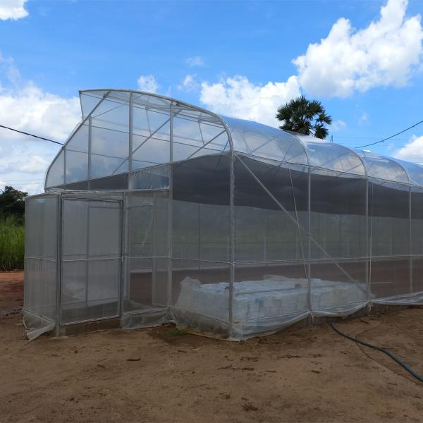 Da galvanização plástica hidropônica da estufa do túnel do OEM estufa de aço da fonte da exploração agrícola