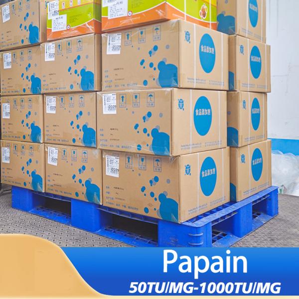 Planting Base Food Enzymes Papain Powder 300USP-6000USP Raw Material