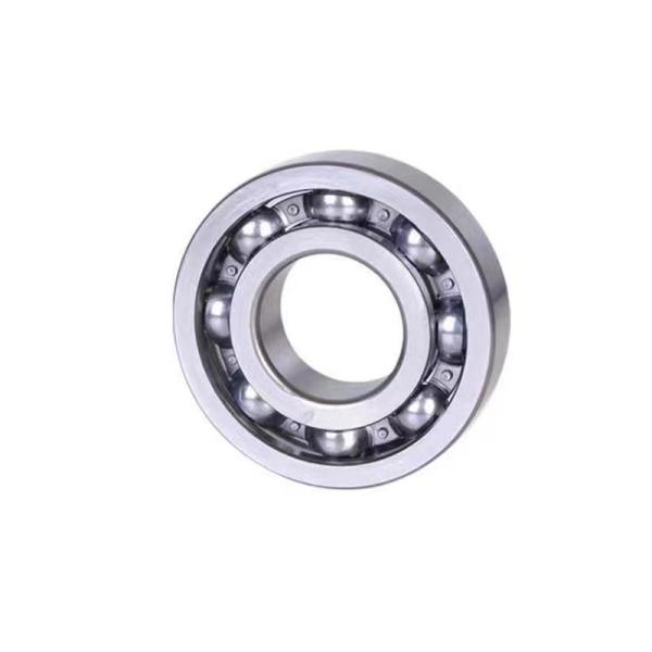 6202 ZZ 2RS LM518445/10 33118 33213 Deep Groove Ball Bearing 6203 6204 6205 Rodaminetos