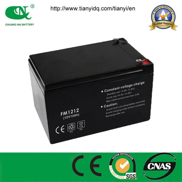 12V10ah AGM Lead Acid Battery Electric Sprayer Rechargeable Storage Battery