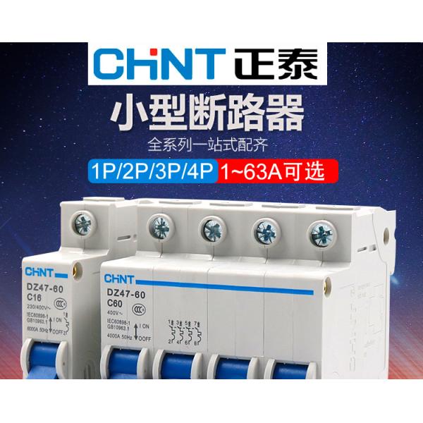 Disyuntor miniatura 6~63A, 80~125A, 1P, 2P, 3P, 4P de Chint DZ47-60 para la protección de circuito AC220, 230V, uso 240V