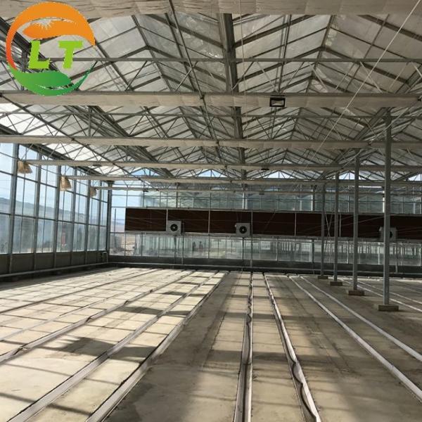 Estufas de vidro de três camadas de alto rendimento para o crescimento óptimo das plantas e para a cultivação de vegetais