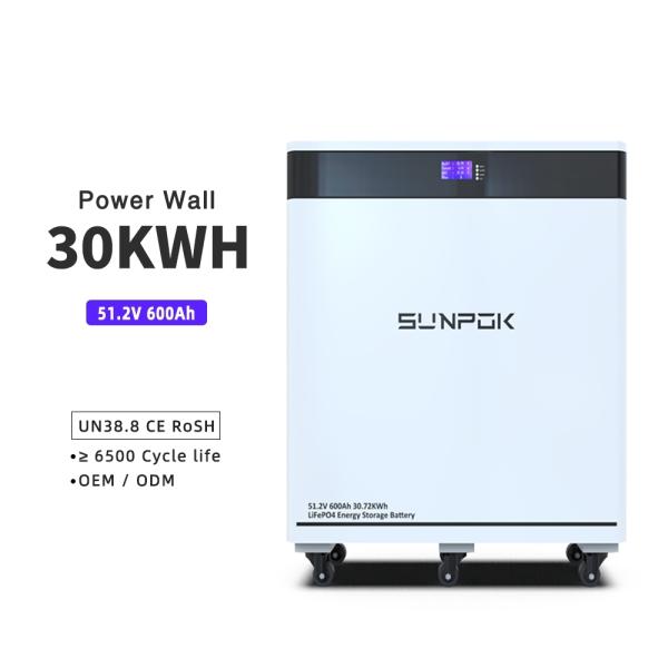 51.2V 600Ah LiFePO4 Battery for Solar Energy Storage with BMS